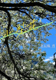 小兰和新一绘画教程素描
